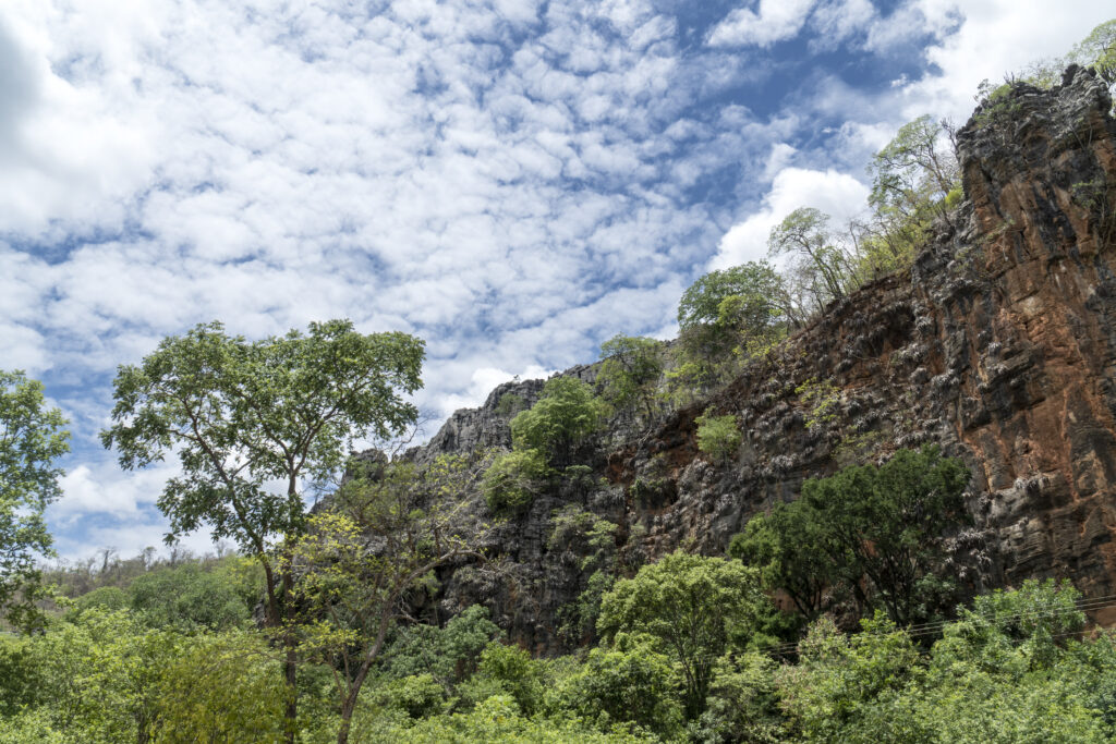 Com 56,8 mil hectares (quase duas vezes o tamanho de Belo Horizonte), o Parque do Peruaçu é uma área protegida desde 1999 e tem mais de 140 cavernas, 80 sítios arqueológicos e pinturas rupestres que remontam a cerca de 11 mil anos (Foto: Fernando Martinho/Repórter Brasil)