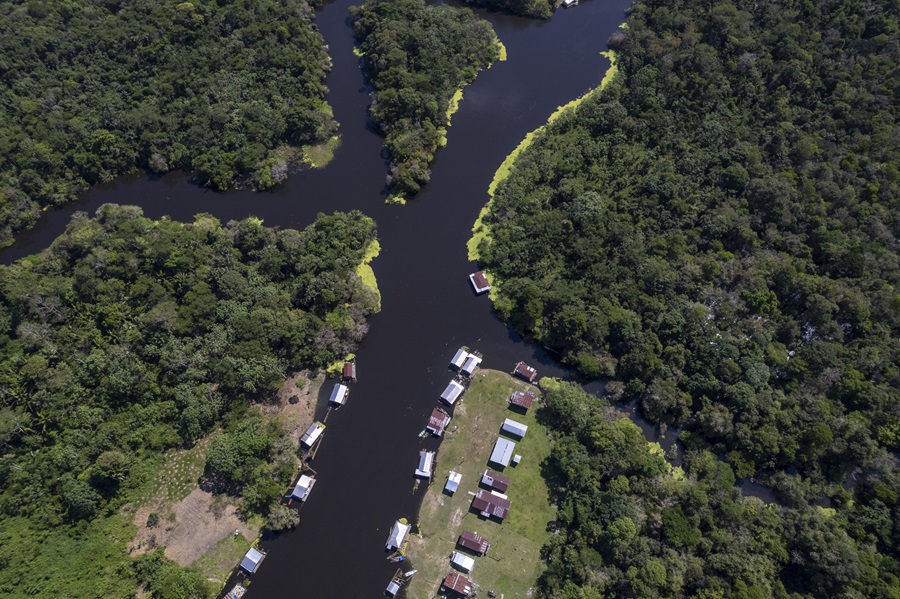 Comunidade Nova Esperança, no Lago do Salsa na região de Codajás, principal produtora de açaí do Amazonas (Foto: Fernando Martinho/Repórter Brasil)