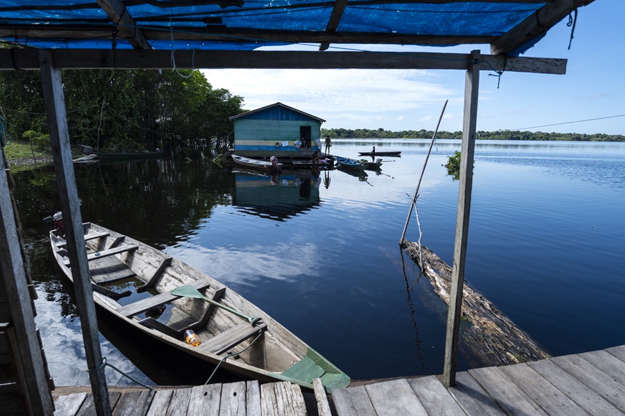 Comunidade Bom Jesus na região de Codajás, principal produtora do Amazonas (Foto: Fernando Martinho/Repórter Brasil)