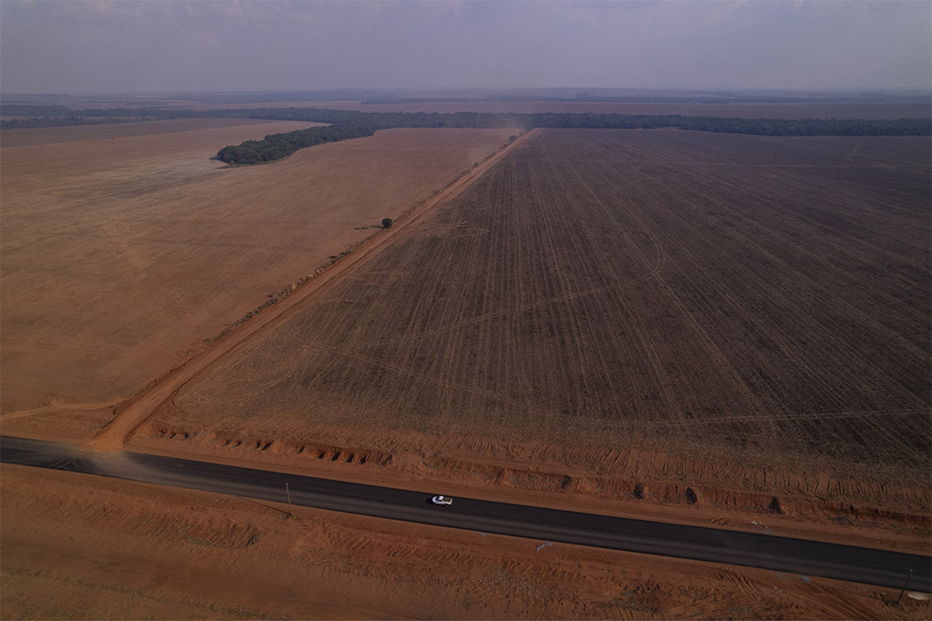 Soja a perder de vista: área destinada para reforma agrária em Itanhangá, norte de Mato Grosso, foi invadida por produtores de grãos nos últimos 30 anos (Foto: Fernando Martinho/Repórter Brasil)