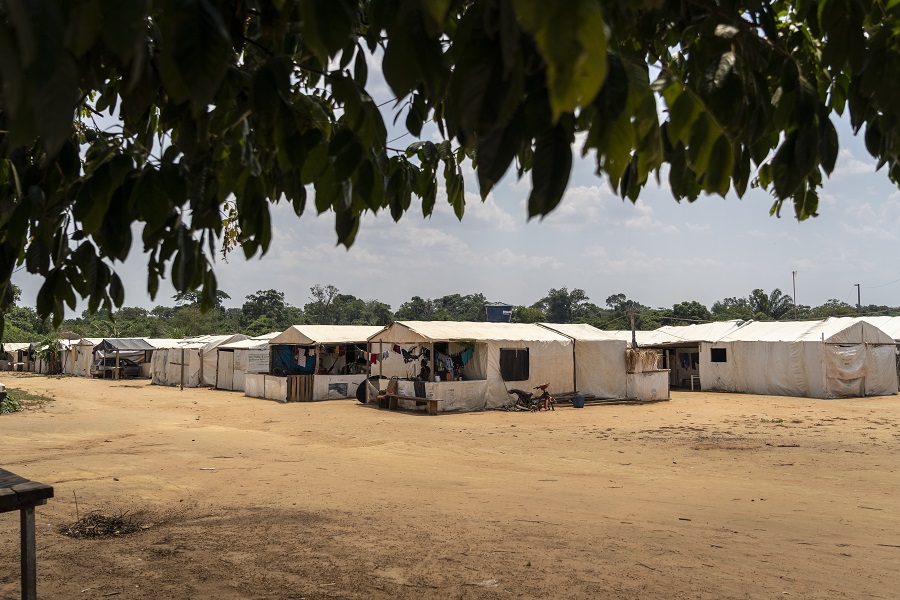 Cerca de 70 família vivem no Acampamento Nova Aliança, onde produzem alimentos diversificados em uma horta coletiva (Foto: Fernando Martinho/Repórter Brasil)