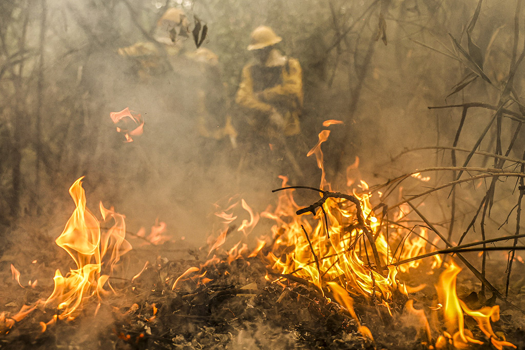 Trabalhadores pardos e amarelos no Centro-Oeste estão mais expostos aos desastres climáticos influenciados pelo aquecimento global, como os incêndios (Foto: Marcelo Camargo/Agência Brasil)