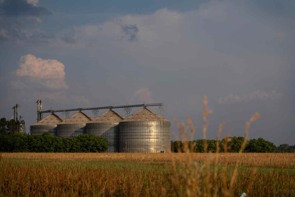 Silos e galpões de armazenamento de grãos próximos a assentamento da reforma agrária invadido ilegalmente por fazendeiros de soja em Itanhangá, norte de Mato Grosso (Foto: Fernando Martinho/Repórter Brasil)