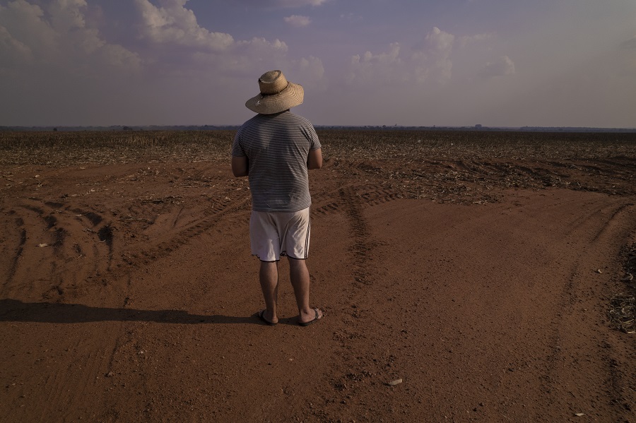 Assentado observa terra preparada para o plantio de soja em uma área da União destinada à reforma agrária, mas que foi invadida por sojeiros (Foto: Fernando Martinho/Repórter Brasil)