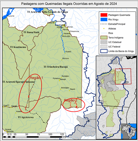 Rede Xingu + identificou duas frentes principais de invasão nas TIs Trincheira Bacajá e Apyterewa (Foto: Reprodução/Rede Xingu +)