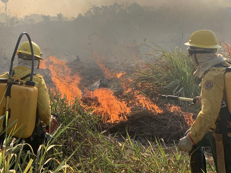 Funai, Ibama, Polícia Federal e Força Nacional tentam controlar os incêndios na Terra Indígena Apyterewa, em setembro de 2024 (Foto: Funai)