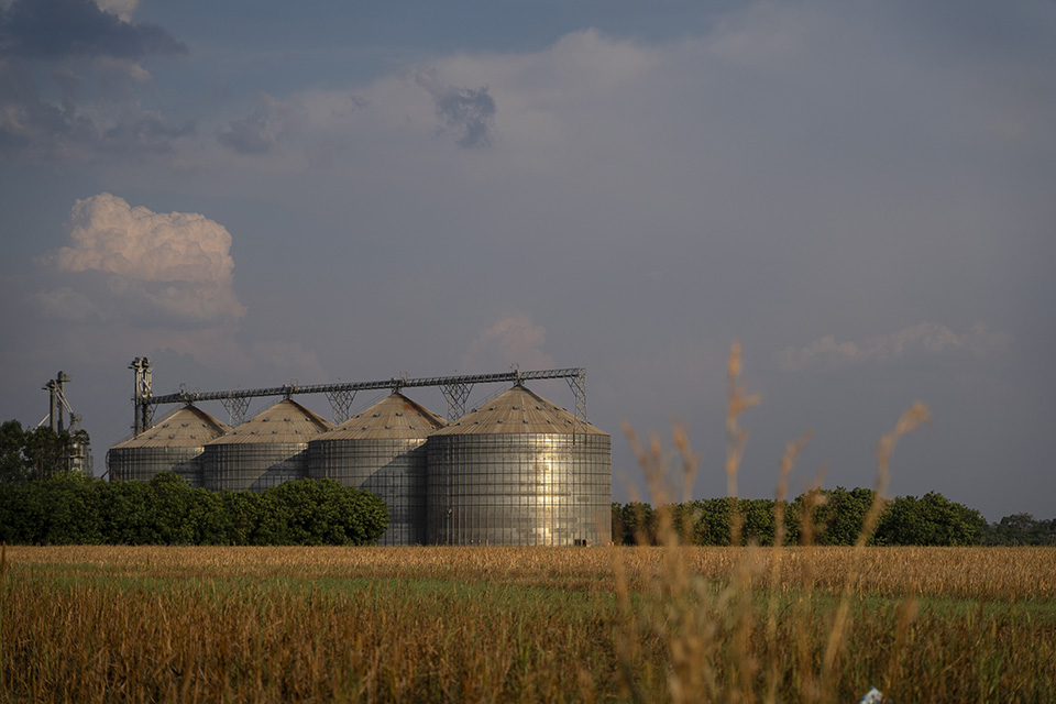 Silos de soja em Itanhangá, no Norte do Mato Grosso (Foto: Fernando Martinho/Repórter Brasil)