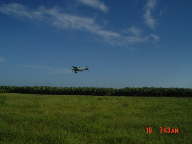 Foto tirada pelo próprio Zé Maria do Tomé de avião fazendo pulverização de agrotóxicos em plantações da Chapada do Apodi, no Ceará (Foto: Zé Maria do Tomé / Arquivo Pessoal)