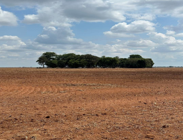 Imagem da Fazenda Lakanka, local onde os trabalhadoes foram resgatados da condição de escravos. A propriedade também pertence a Leonardo e é vizinha a Fazenda Talismã, onde os trabalhadores dormiam (Foto: Reprodução/MTE)