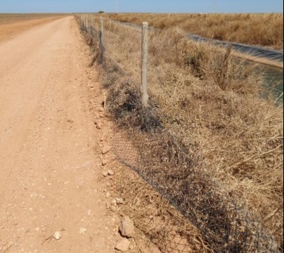 Cerca feita de plástico; material considerado frágil e que pode ser facilmente danificado, segundo especialistas (Foto: Reprodução/Onçafari)