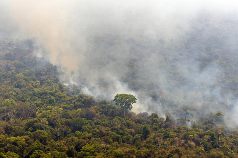 Fumaça de incêndio florestal na Terra Indígena Capoto-Jarina, na bacia do rio Xingu, norte de Mato Grosso (Foto: Marizilda Cruppe/Greenpeace)