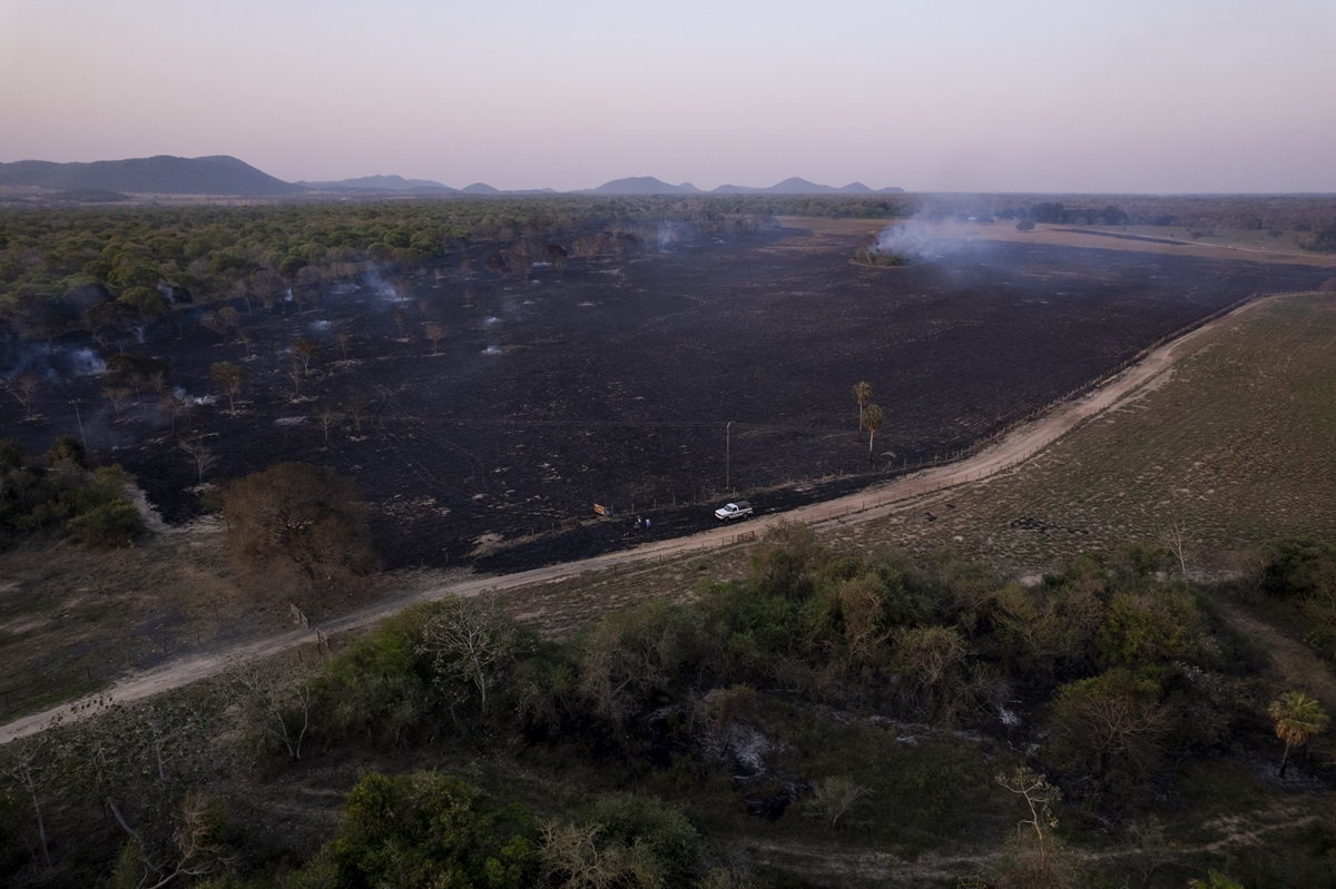 Fazenda no Mato Grosso do Sul com fogo  sem controle próximo à BR-262 durante seca severa no Pantanal (Foto: Fernando Martinho/Repórter Brasil)