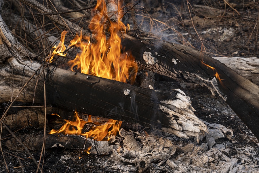 Foco de incêndio no Pantanal  próximo à cidade de Corumbá (MS) (Foto: Fernando Martinho/Repórter Brasil)