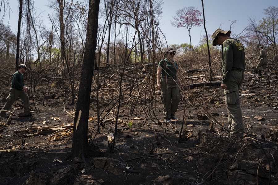 Servidores do Ibama em ação de monitoramento de fauna durante seca severa e incêndios no Pantanal (Foto: Fernando Martinho/Repórter Brasil)