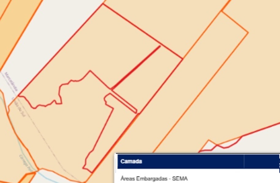 Áreas de embargo da Fazenda Adonai, em Marcelândia (MT), com embargos da Sema-MT em vermelho (Imagem: Sema-MT)