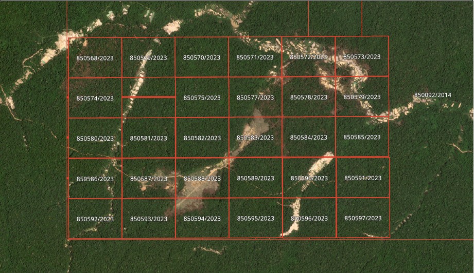 An area of 500 hectares was divided into 29 polygons. The new mining operation layout fits the municipal licensing criteria in Pará (Image: ICMBio)