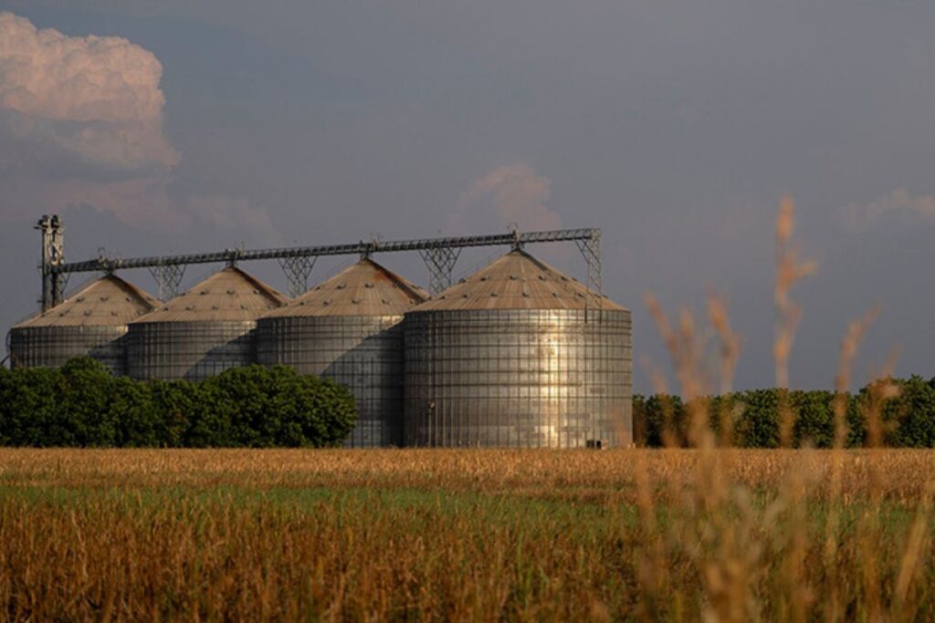 Silos e galpões de armazenamento de grãos no Norte do Mato Grosso (Foto: Fernando Martinho/Repórter Brasil)