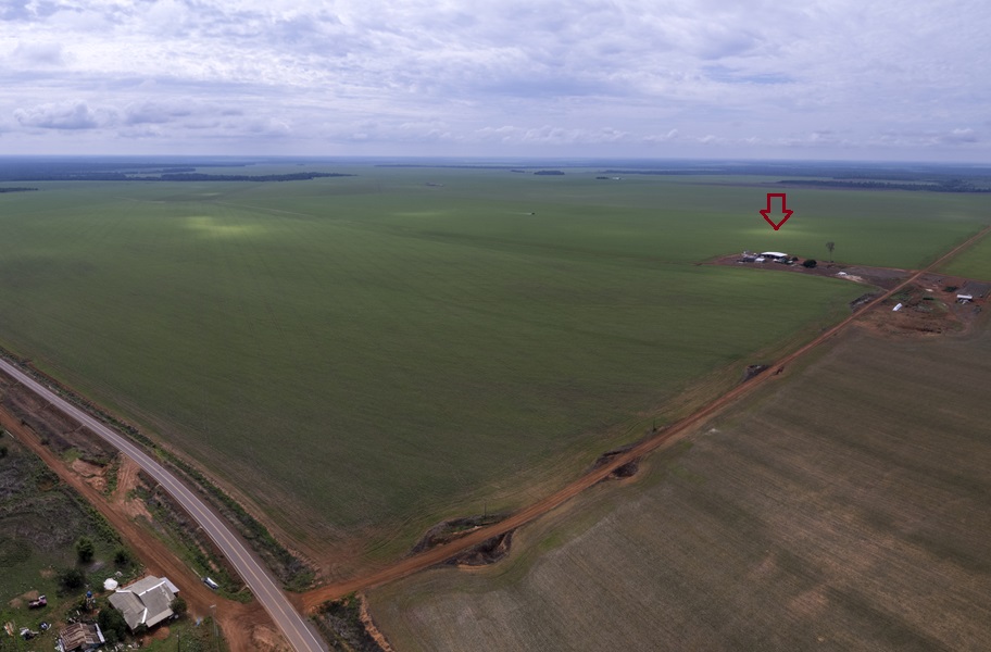 Na foto, a seta indica uma edificação que pode ser a sede ou um galpão da fazenda. É possível ver a plantação de soja em todo perímetro (Foto: Fernando Martinho/Repórter Brasil)