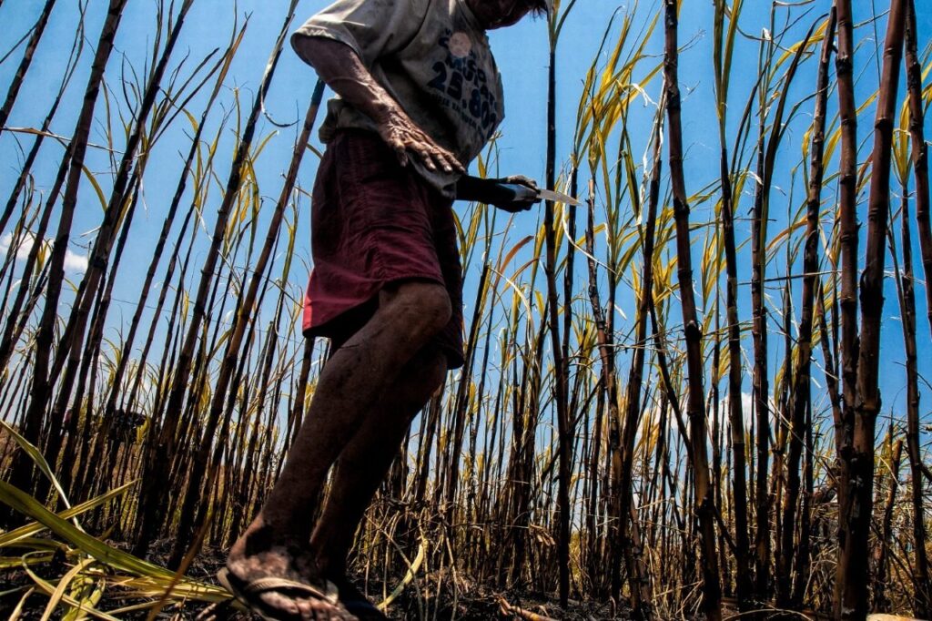 Trabalhadores obrigados a dormir no chão ou forçados a trabalhar por dívidas ilegais são algumas das violações identificadas na investigação (Foto: Sergio Carvalho)