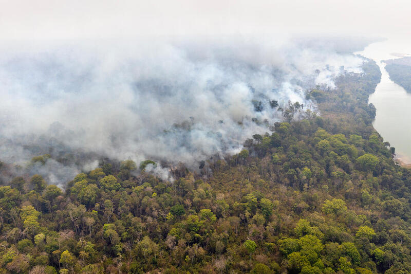 Queimada próxima ao rio Xingu, no Mato Grosso, em setembro de 2024. Moratória da Soja é apontada como responsável pela redução de 69% do desmatamento na Amazônia entre 2008 e 2022 (Foto: Marizilda Cruppe/Greenpeace)