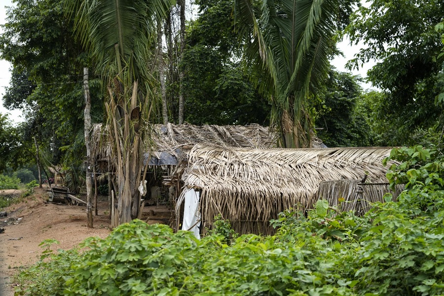 Vila Boa Fé, que fica na borda da terra indígena Apyterewa, é habitada por não indígenas. Parte deles segue à espera de uma reversão do cenário de expulsão dos invasores: estão acampados na borda externa da TI em um conjunto de casas improvisadas com lonas e folhas de palmeira (Fernando Martinho/Repórter Brasil)