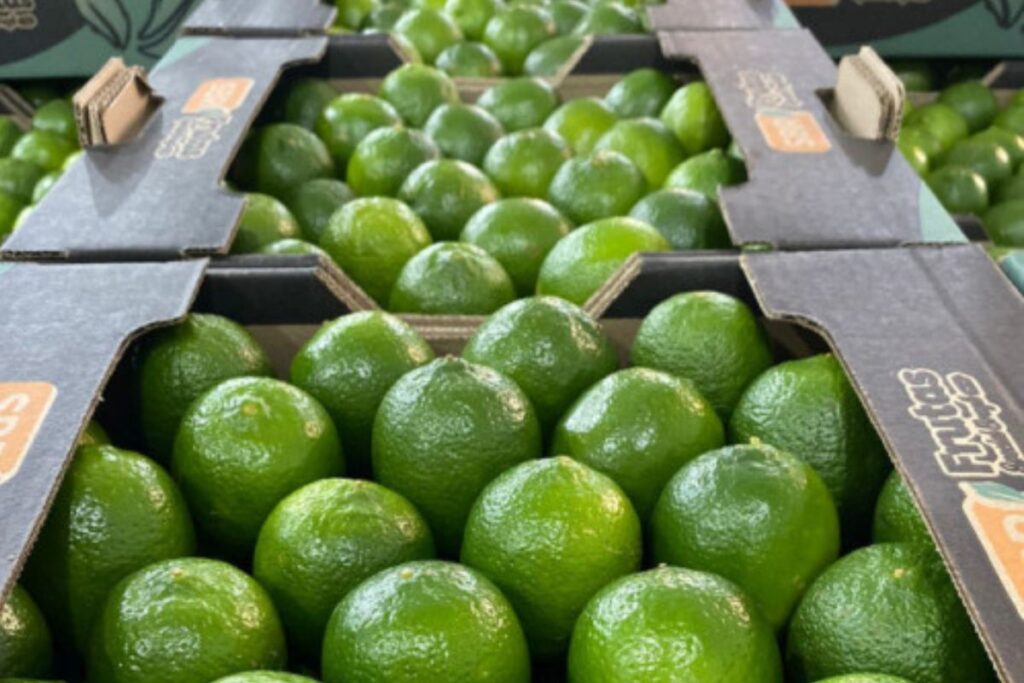 GlobalG.A.P. certification had been granted to a producer included last Wednesday on the Dirty List of slave labor (Photo: Reproduction/Peru Frutas)