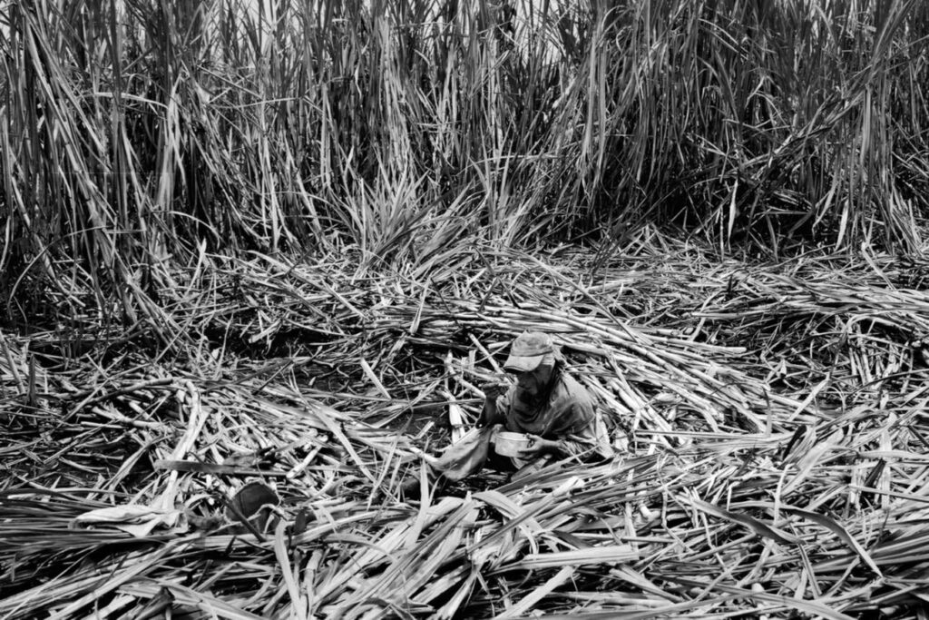 Imagem de 1997 mostra trabalhadora almoçando em lavoura de na cana-de-açúcar no Maranhão (Foto: Sérgio Carvalho/MTE)
