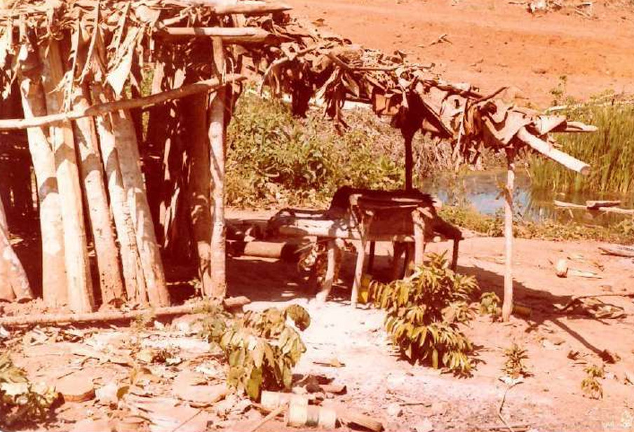 Imagens feitas pela comitiva parlamentar que visitou a Fazenda Volkswagen em 1983 mostram detalhes das áreas desmatadas, dos pastos e da criação de gado; as construções de alvenaria para funcionários administrativos; as casas de madeira de trabalhadores permanentes; além de casas de sapê precárias de outros empregados, que viviam ali com suas famílias (Créditos: Arquivo pessoal de Expedito Soares e Ricardo Rezende/Reprodução/MPT)