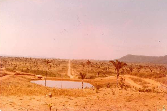 Imagens feitas pela comitiva parlamentar que visitou a Fazenda Volkswagen em 1983 mostram detalhes das áreas desmatadas, dos pastos e da criação de gado; as construções de alvenaria para funcionários administrativos; as casas de madeira de trabalhadores permanentes; além de casas de sapê precárias de outros empregados, que viviam ali com suas famílias (Créditos: Arquivo pessoal de Expedito Soares e Ricardo Rezende/Reprodução/MPT)