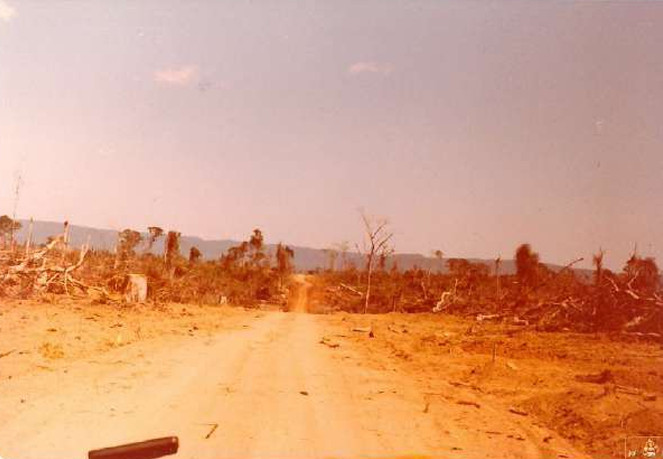 Imagens feitas pela comitiva parlamentar que visitou a Fazenda Volkswagen em 1983 mostram detalhes das áreas desmatadas, dos pastos e da criação de gado; as construções de alvenaria para funcionários administrativos; as casas de madeira de trabalhadores permanentes; além de casas de sapê precárias de outros empregados, que viviam ali com suas famílias (Créditos: Arquivo pessoal de Expedito Soares e Ricardo Rezende/Reprodução/MPT)