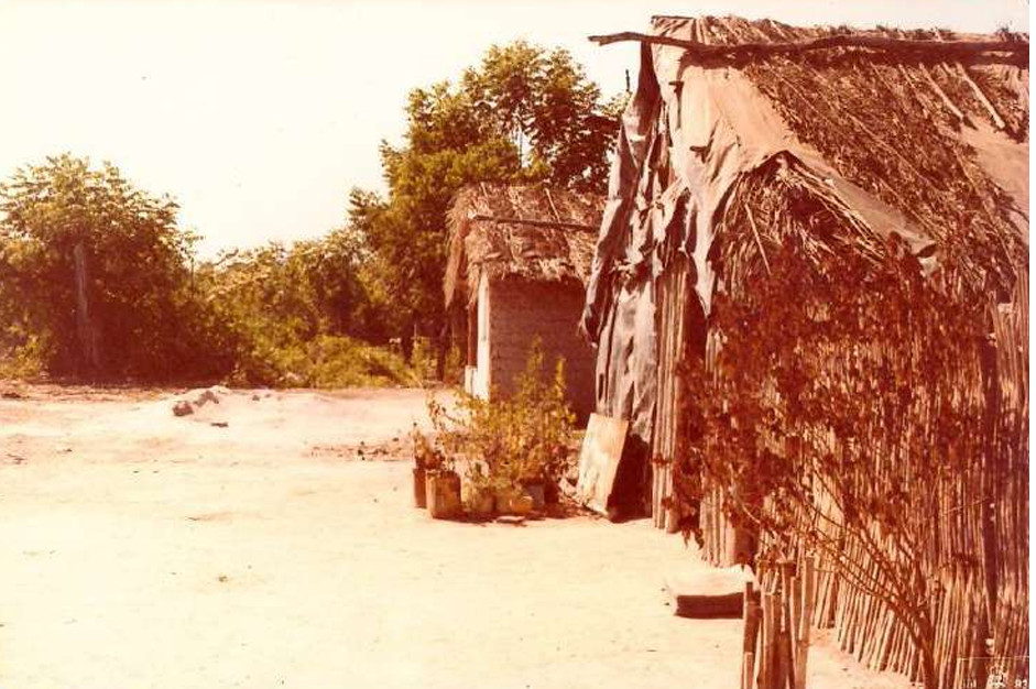 Imagens feitas pela comitiva parlamentar que visitou a Fazenda Volkswagen em 1983 mostram detalhes das áreas desmatadas, dos pastos e da criação de gado; as construções de alvenaria para funcionários administrativos; as casas de madeira de trabalhadores permanentes; além de casas de sapê precárias de outros empregados, que viviam ali com suas famílias (Créditos: Arquivo pessoal de Expedito Soares e Ricardo Rezende/Reprodução/MPT)