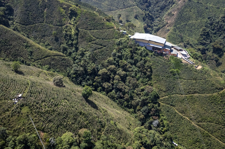 Os recolectores, como são chamados os trabalhadores da colheita do café colombiano, atuam em terrenos íngremes nos Andes (Foto: Fernando Martinho/Repórter Brasil)