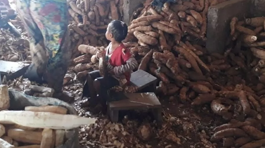 Fiscalização encontrou crianças e adolescentes entre 3 e 17 anos trabalhando em casa de farinha, atividade proibida para menores, em julho de 2019 (Foto: MPT)