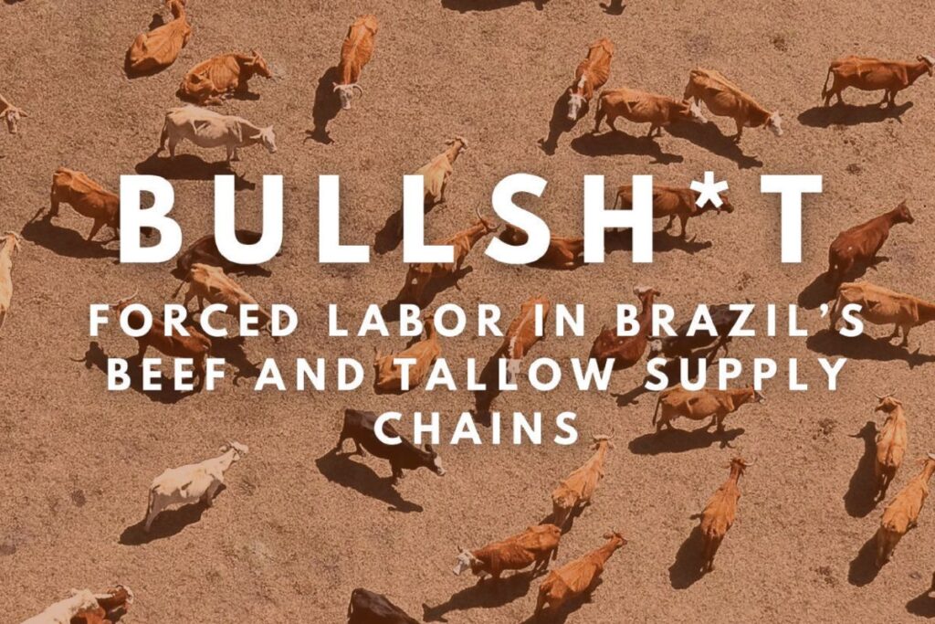 Relatório "Bullsh*t: Trabalho forçado nas cadeias de abastecimento de carne bovina e sebo do Brasil" reúne casos de trabalho escravo, identificados em colaboração com a Repórter Brasil (Imagem: CAL/Divulgação)