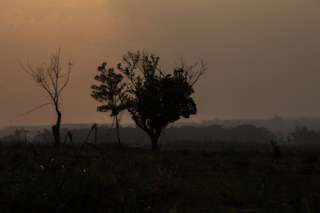 Paisagem da cidade de Açailândia, próximo a comunidade Pequiá de Baixo. Reportagem mostra a história de um trabalhador amarrado e espancado em uma carvoaria, que fornece carvão para a Siderúrgica Viena, em Açailândia. Casos de trabalho análogo à escravidão são recorrentes entre os fornecedores da Viena, que é investigada pelo Ministério Público do Trabalho. A Viena é uma das fornecedores de gusa para indústrias da Europa e Estados Unidos, incluindo uma fábrica da Toyota nos EUA. Foto de João Laet / Repórter Brasil