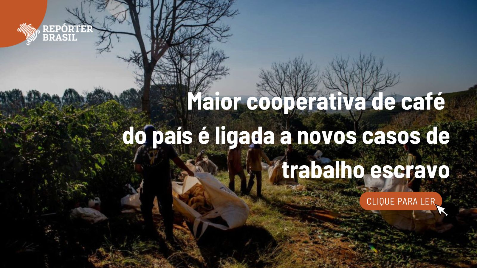 Cooxupé é ligada a novos casos de trabalho escravo