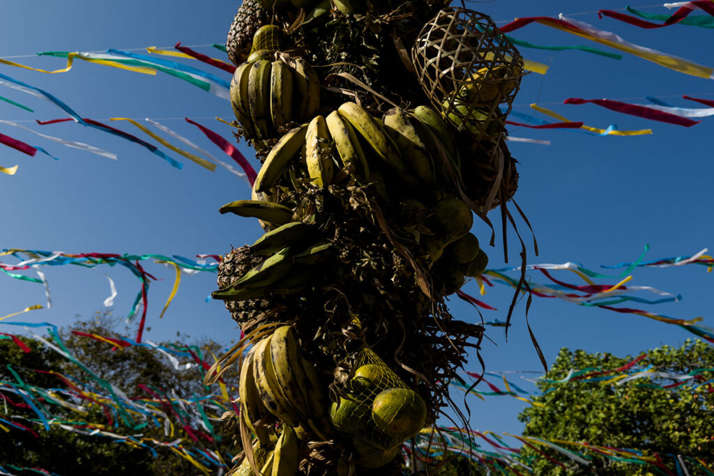 Os dois mastros do Sairé são erguidos com frutas, fitas e flores e simbolizam a fartura (Foto: Leonardo Milano/Repórter Brasil)