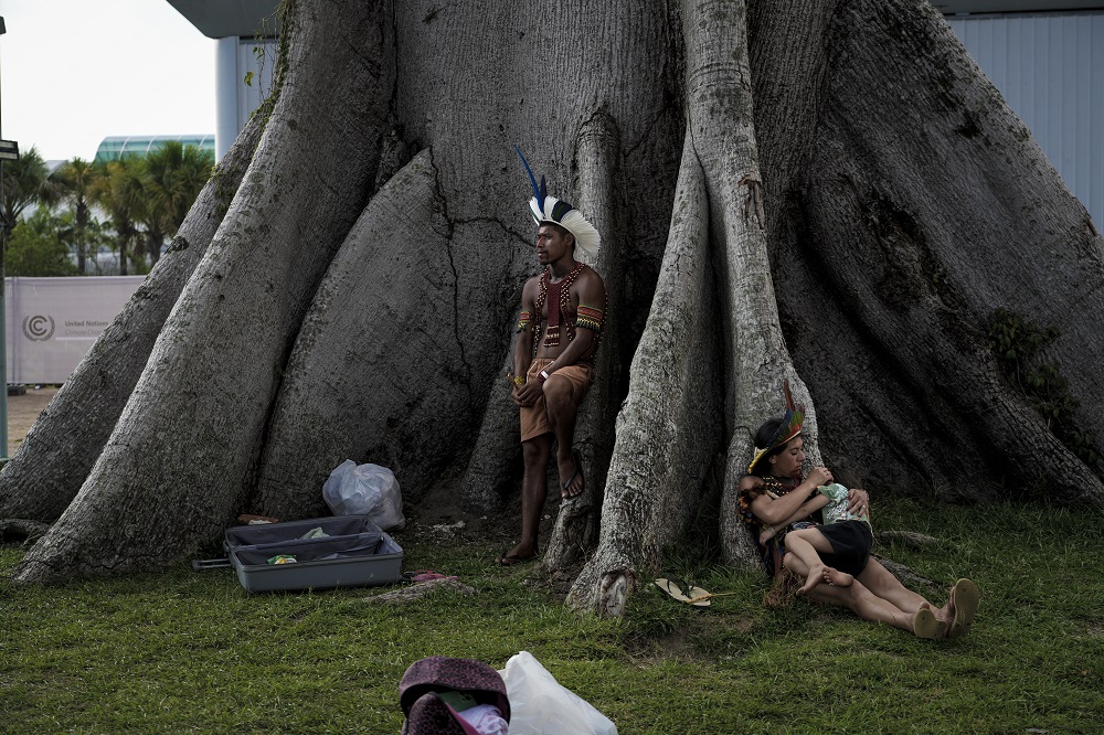 Indígenas Pataxó descansam em árvore na entrada da Zona Azul (Foto: Fernando Martinho/Repórter Brasil)