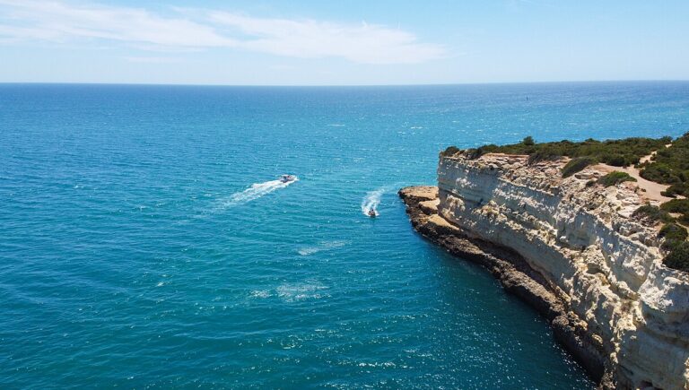 “O oceano produz mais da metade do nosso oxigênio e absorve 90% do calor excedente das nossas emissões”, diz Marinez Scherer, enviada especial para oceanos na COP30 (Foto: Rcuri17/Wiki)