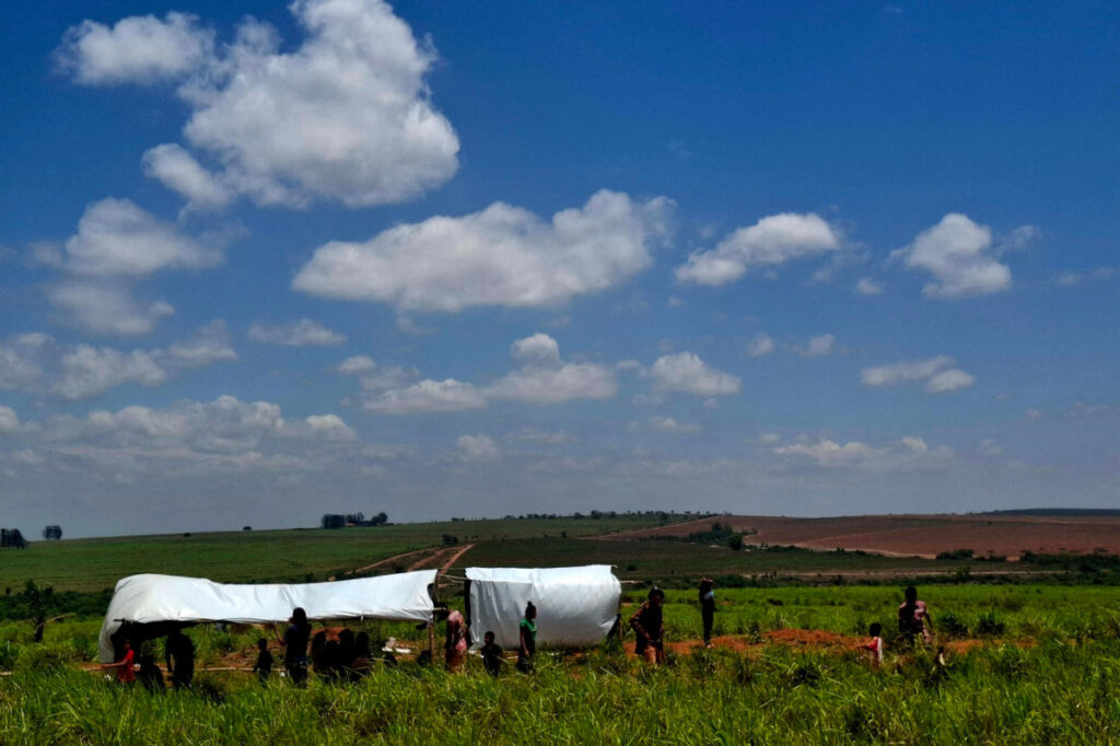 A JBS comprou gado da Fazenda Cachoeira, onde um indígena Guarani Kaiowá foi morto em Iguatemi (Foto: Gabriela Moncau/Repórter Brasil)