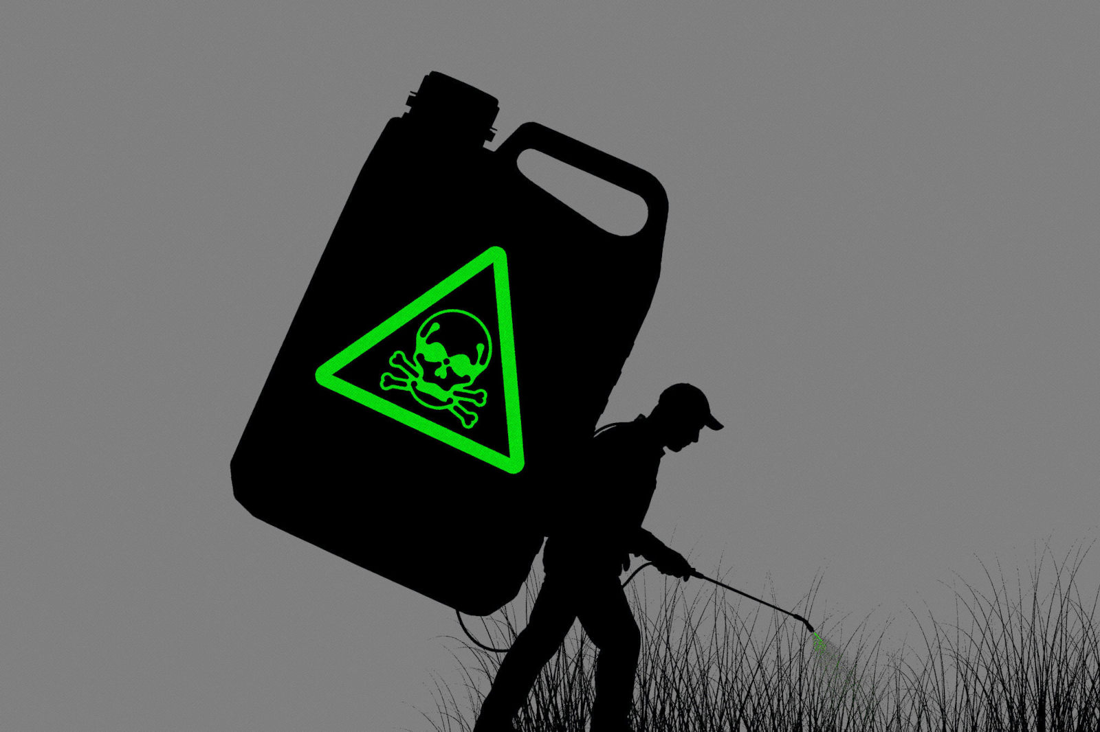 Considerado um “provável cancerígeno” em seres humanos pela OMS, o glifosato é o agrotóxico mais usado no Brasil (Ilustração: Rodrigo Bento/Repórter Brasil)