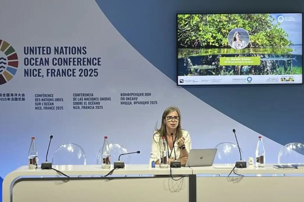 Marinez Scherer, enviada especial para oceanos da COP30 (Foto: Conferência dos Oceanos/Divulgação)