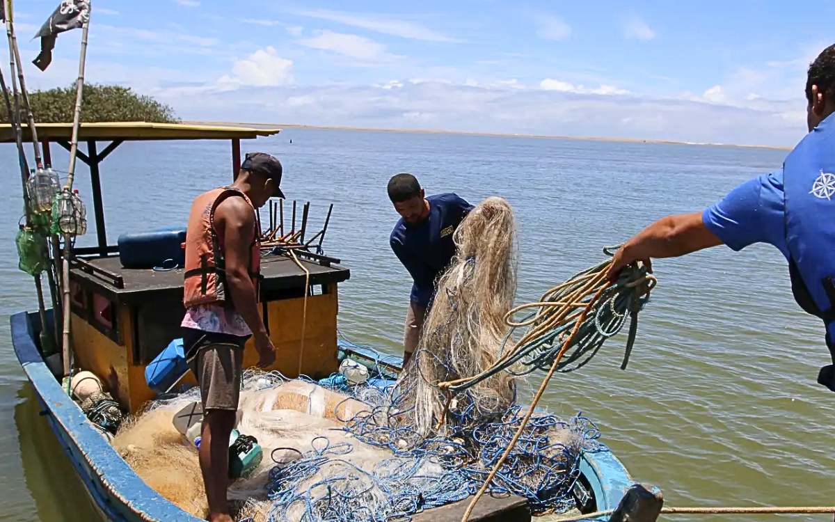 Brasil ordena su política pesquera: el Consejo Nacional de Acuicultura y Pesca consolida una agenda estratégica con foco en sostenibilidad y formalización