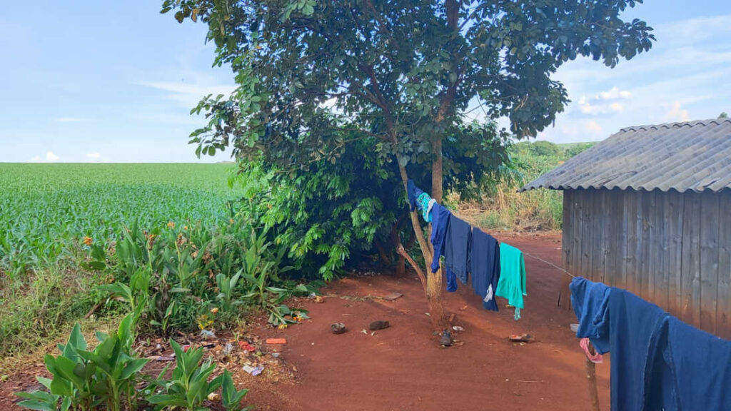 Lavouras ficam muito próximas às casas de famílias Avá-Guarani no oeste do Paraná, onde produtos da Bayer têm causado contaminações, segundo os indígenas (Foto: Divulgação/Lizely Borges/Terra de Direitos)