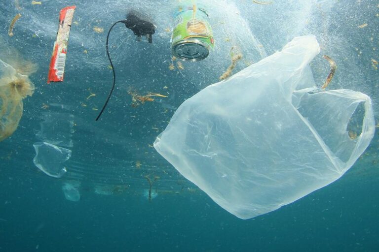 O plástico representa 85% de todo lixo que chega aos oceanos Pelo menos 10 milhões de toneladas do material param nos mares todo ano, segundo o Programa das Nações Unidas para o Meio Ambiente (Foto: Reprodução/Parlamento Europeu)