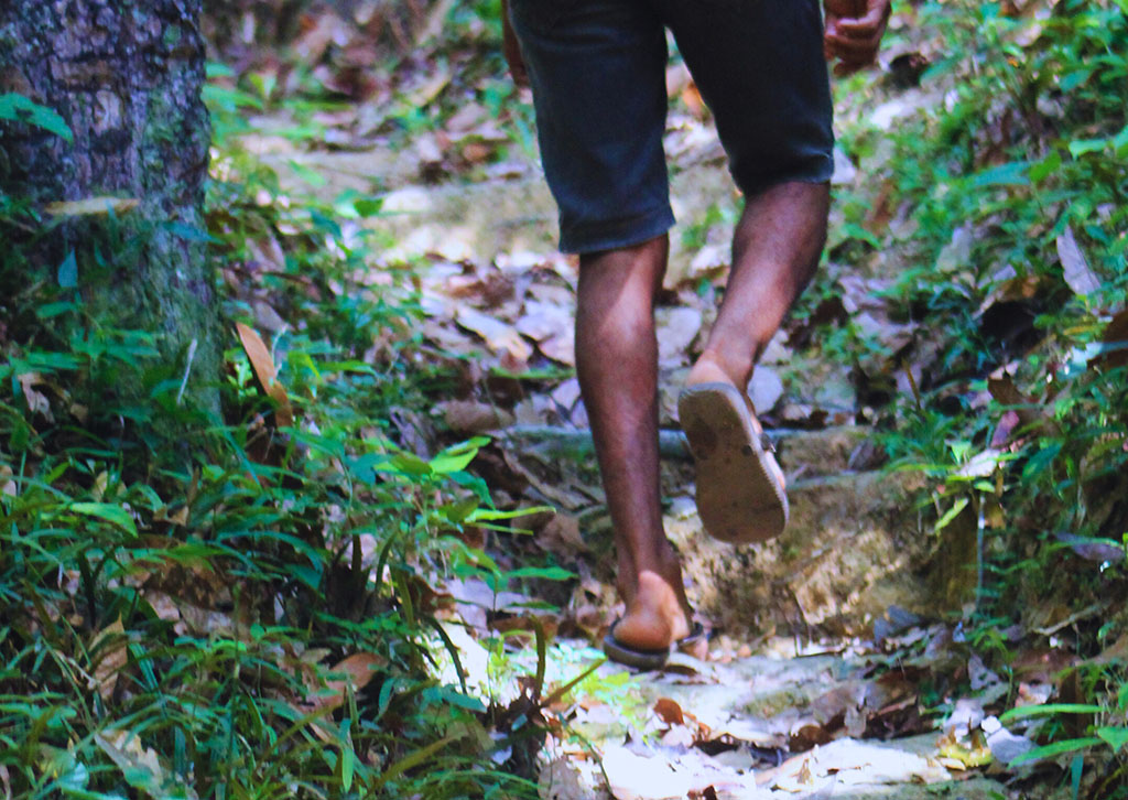 “Na televisão fala que o agronegócio gera emprego e renda. Isso é mentira. A máquina derruba, a máquina planta, a máquina colhe”, dz liderança Munduruku da aldeia Açaizal (Foto: José Marcos Tapajós/Tapajós de Fato)