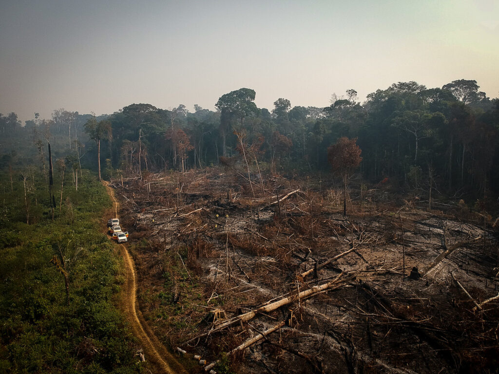 Área de floresta derrubada e queimada e vista na zona rural do município de Apuí, Amazonas (Foto: Bruno Kelly/Amazônia Real/10/08/2020)