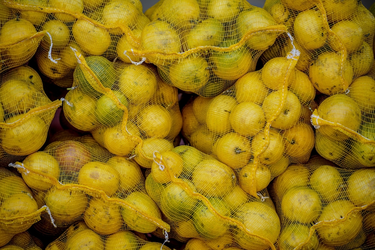 Laranja, pepino e couve foram os alimentos que apresentaram mais irregularidades (Foto: Rafa Neddermeyer/Agência Brasil)