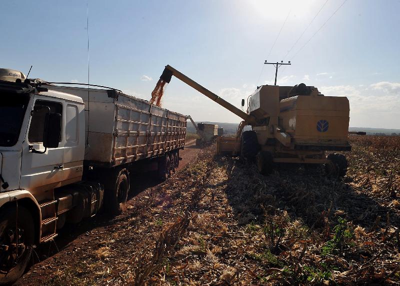 Para pesquisador, o avanço da monocultura de soja em Roraima é resultado de uma série de políticas estaduais de incentivo público de ocupação de terras por produtores privados (Foto: Caíque Souza/Repórter Brasil)
