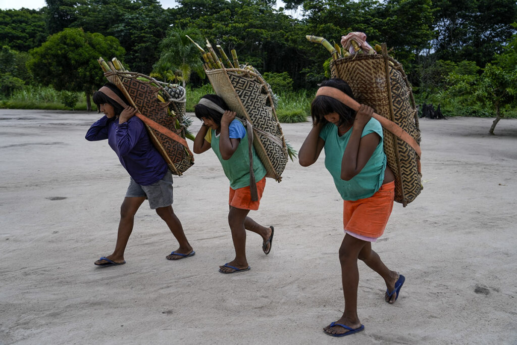 Manaus, Amazonas, Brasil 20/10/2025 Mulheres carregando frutas e vegetais da roça para a aldeia. Imagens sobre o povo Waimiri Atroari em sua Terra Indígena na divisa dos estados de Roraima e Amazonas. A série de reportagens irá focar nos abusos, desafios e crimes que esse povo enfrenta desde a época da ditadura militar até os dias de hoje. Grandes empreendimentos, como a construção da BR-174, a exploração da mineradora Taboca/Paranapanema, a usina hidrelétrica de Balbina e o linhão da Eletronorte foram e são um desafio para os Waimiri Atroari. Fotos: Fernando Martinho.
